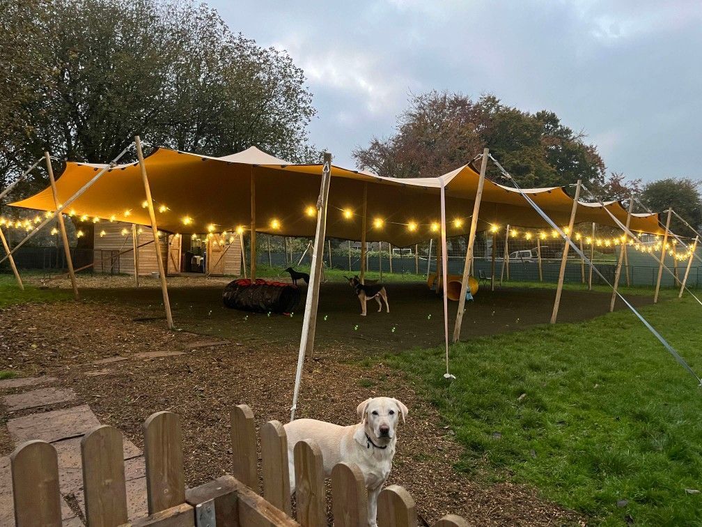 Day care under festoon lighting
